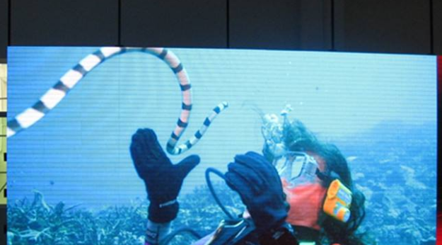 美股四次熔斷，會(huì)對(duì)室內(nèi)全彩led顯示屏行業(yè)造成怎樣的影響呢