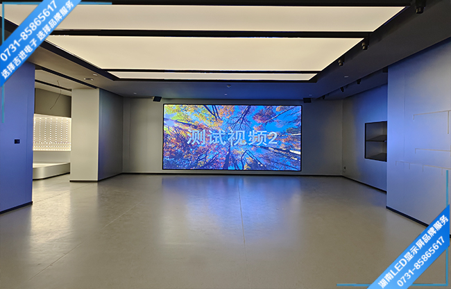 長沙市雨花區(qū)某產業(yè)園智能會議室LED顯示屏